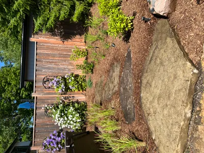 Completed landscaped backyard