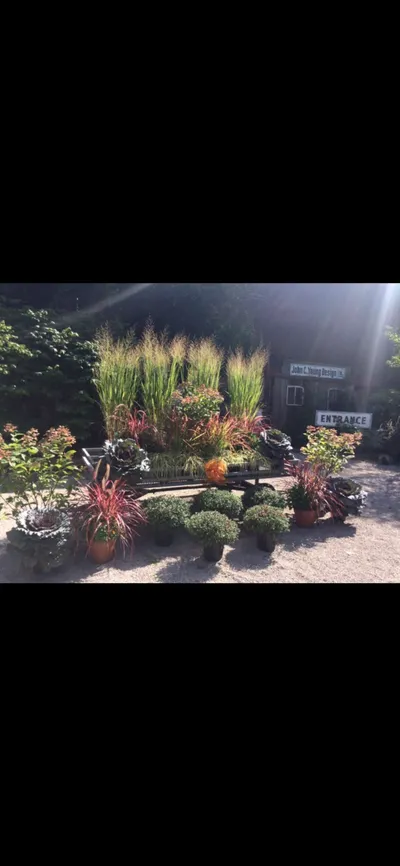 John C Young Design early work